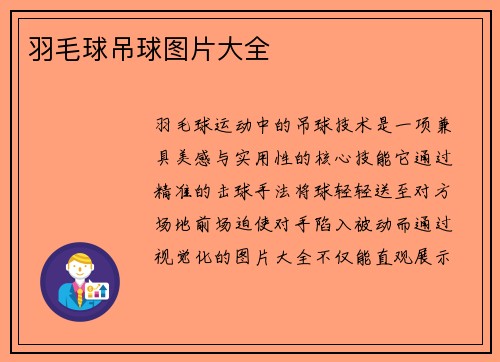 羽毛球吊球图片大全
