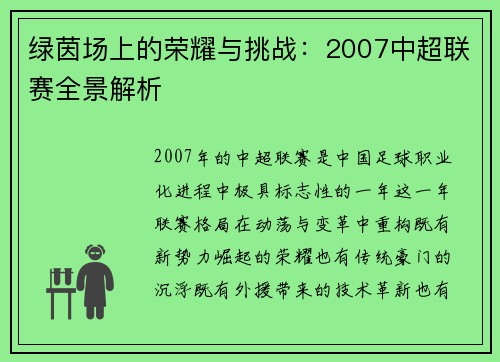 绿茵场上的荣耀与挑战：2007中超联赛全景解析