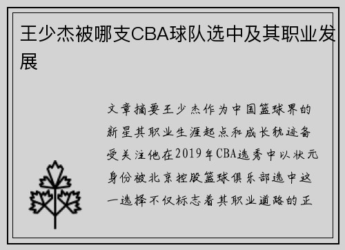 王少杰被哪支CBA球队选中及其职业发展